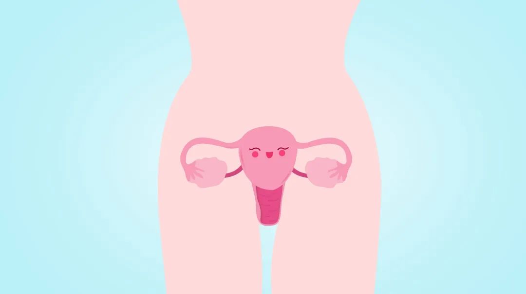宫内节育器（环）为什么能避孕？